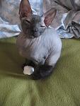     
: IMG_6486.jpg
: 18
:	119.5 
ID:	831948