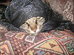     
: IMG_6510.jpg
: 13
:	282.6 
ID:	831983