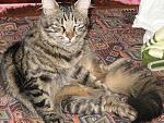     
: IMG_4386.jpg
: 16
:	212.2 
ID:	831997