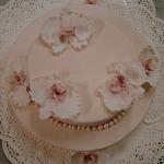    
: DSC00907.jpg
: 29
:	76.7 
ID:	8320497