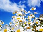     
: image.jpg
: 21
:	116.9 
ID:	8321457