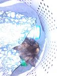     
: 3tsmoHUJPto.jpg
: 7
:	63.4 
ID:	8323455