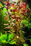     
: DSC_8392.jpg
: 24
:	145.7 
ID:	8324220