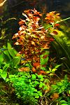     
: DSC_8394.jpg
: 25
:	135.5 
ID:	8324223