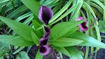     
: DSC05358.JPG
: 11
:	215.9 
ID:	8327384