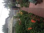     
: image.jpg
: 54
:	157.3 
ID:	8329442