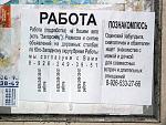     
: s3img_46944326_19839_1.jpg
: 82
:	74.5 
ID:	833016