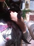     
: zHnABMor_Z8.jpg
: 10
:	62.7 
ID:	8331109