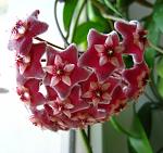     
: IMG_6829-1.jpg
: 5
:	119.4 
ID:	8331661