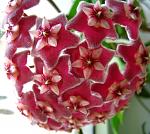     
: IMG_6831-1.jpg
: 9
:	140.4 
ID:	8331663