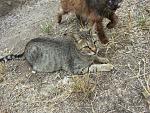     
: 20140623_153042.jpg
: 7
:	306.8 
ID:	8332121