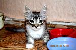    
: 8WeAhv3TRZE.jpg
: 5
:	120.1 
ID:	8332150