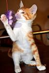     
: Yo_UsdVTQSM.jpg
: 5
:	66.8 
ID:	8332151
