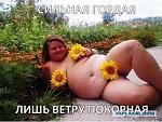     
: images3.jpg
: 10
:	12.2 
ID:	8333528