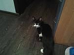     
: 20140624_215224.jpg
: 16
:	104.0 
ID:	8335331