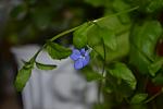     
: DSC_5618.jpg
: 7
:	53.5 
ID:	8336305