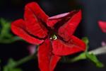     
: DSC_5620.jpg
: 8
:	48.0 
ID:	8336307