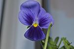     
: DSC_5626.jpg
: 6
:	54.8 
ID:	8336309