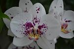     
: DSC_5624.jpg
: 6
:	62.7 
ID:	8336310