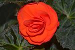     
: DSC_5623.jpg
: 6
:	101.7 
ID:	8336311