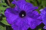     
: DSC_5621.jpg
: 8
:	85.4 
ID:	8336312
