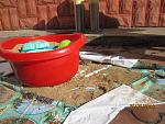     
: IMG_3430.jpg
: 8
:	164.8 
ID:	8336338
