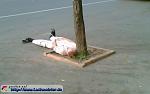     
: img_13975871_19_4.jpg
: 7
:	23.4 
ID:	8337486