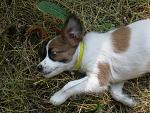     
: P6250763.jpg
: 56
:	211.6 
ID:	8340316