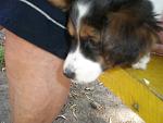     
: P6250770.jpg
: 60
:	97.9 
ID:	8340318