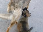     
: P8011880.jpg
: 44
:	129.0 
ID:	834243