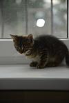     
: _DSC7593.jpg
: 3
:	42.4 
ID:	8344189