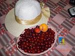     
: CIMG0691.JPG
: 23
:	174.9 
ID:	8344807