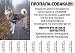     
: 2w-sftQ680M.jpg
: 51
:	230.7 
ID:	8347468