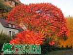     
: 427_13.jpg
: 14
:	273.5 
ID:	8351210