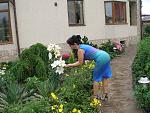     
: 02-P1010009.JPG
: 10
:	51.6 
ID:	8356675
