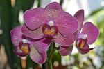     
: DSC_5075.jpg
: 11
:	105.8 
ID:	8357950