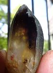     
: DSC00437.jpg
: 9
:	229.1 
ID:	8360692