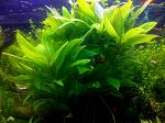     
: IMG_02-06-2014_155635.jpg
: 8
:	146.9 
ID:	8361434