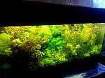     
: IMG_08-04-2014_132909.jpg
: 11
:	136.1 
ID:	8361436