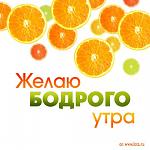     
: x_f7e9f5f9.jpg
: 10
:	37.9 
ID:	836533