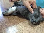    
: IMG_0598.jpg
: 12
:	164.4 
ID:	8366990
