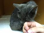     
: IMG_0608.jpg
: 9
:	97.6 
ID:	8366991