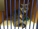     
: IMG_0607.jpg
: 6
:	129.1 
ID:	8366995
