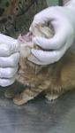     
: IMAG0012.jpg
: 16
:	40.9 
ID:	8367958