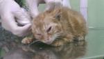     
: IMAG0019_BURST002.jpg
: 12
:	84.2 
ID:	8367959