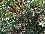     
: DSC01398.jpg
: 20
:	302.5 
ID:	8372563