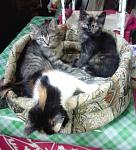     
: IMG_20140629_194652.jpg
: 13
:	101.8 
ID:	8373422