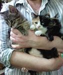     
: IMG_20140629_195612.jpg
: 9
:	88.7 
ID:	8373423