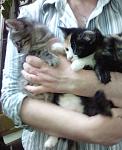     
: IMG_20140629_195609.jpg
: 9
:	77.3 
ID:	8373424