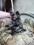    
: IMG_20140629_195042.jpg
: 9
:	99.1 
ID:	8373449